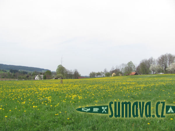 Radostice u Hlavňovic
