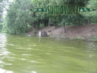 rybník Hnačov