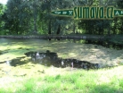 rybník pod Hořákovem