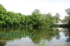 rybník s ostrovem v městském parku, Klatovy