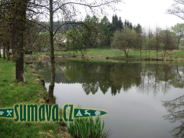 rybník Svojšice