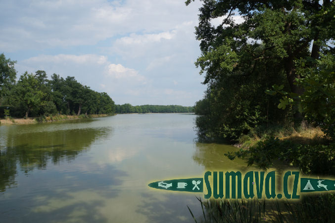 rybník Vítek