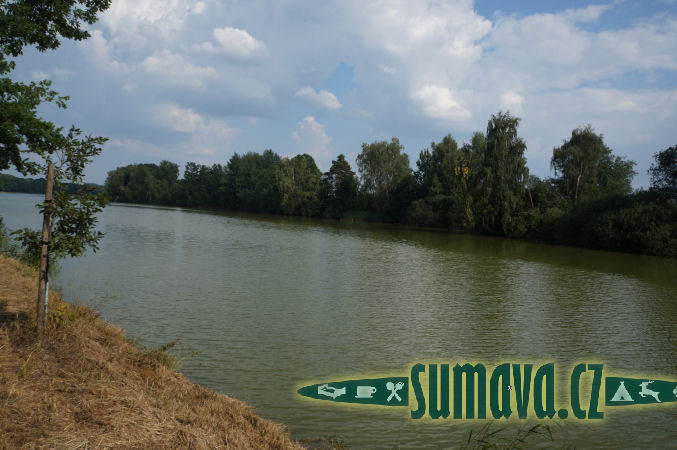 rybník Vítek