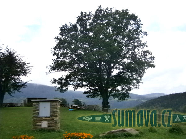 Sedlo u Srní