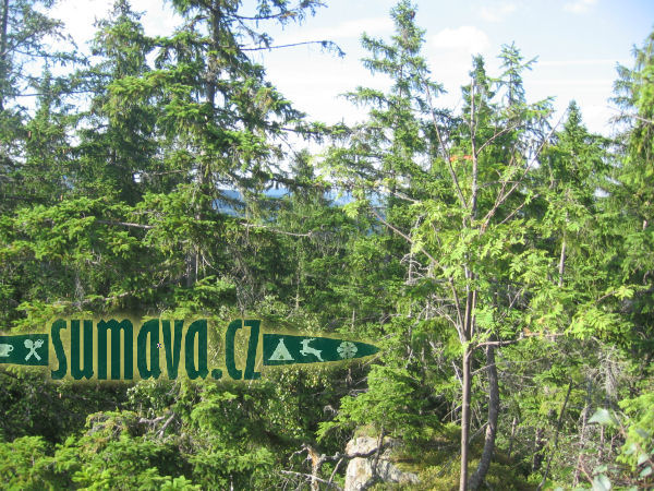 skála sv. Vintíře, Březník