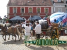 Skolení draka, Fürth im Wald (D)