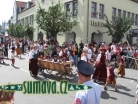 Skolení draka, Fürth im Wald (D)