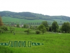 Slavíkovice