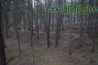 Spálený les, Klatovy - Luby