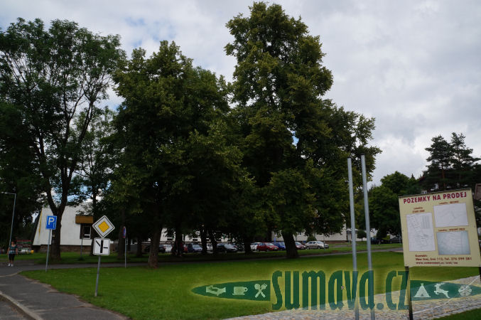 Srní