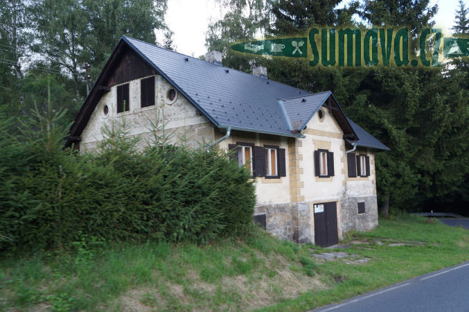 Srní