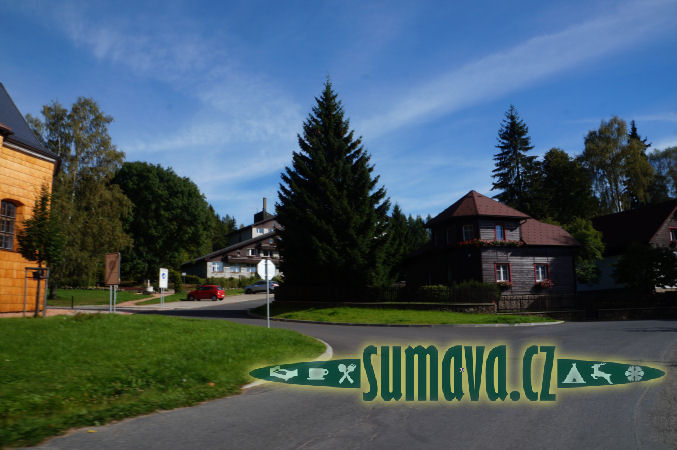 Srní
