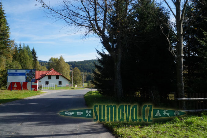Srní