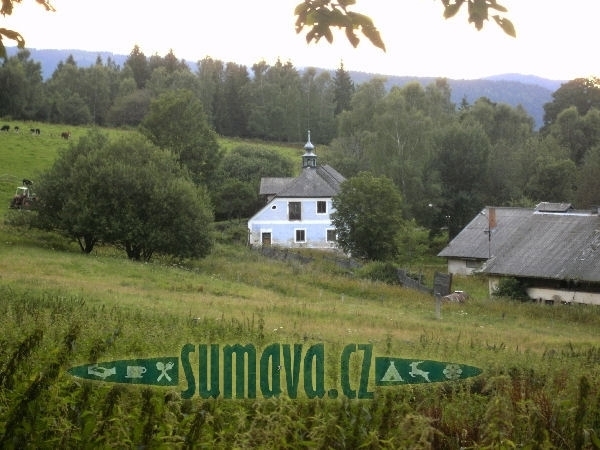 Srní