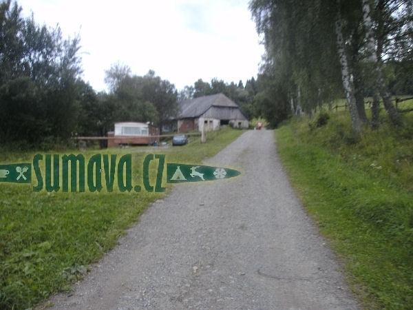 Srní
