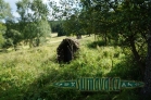 studánka pod kaplí sv. Kunhuty, Prenet