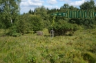 studánka pod kaplí sv. Kunhuty, Prenet