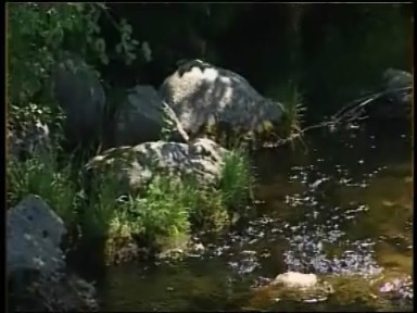 Toulavá kamera - Prášily, rozhledna Poledník