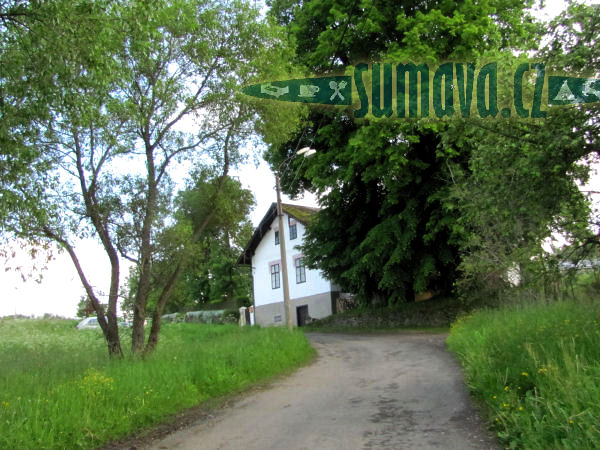 Štěpanice