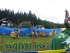 rytířský turnaj pod Belvederem