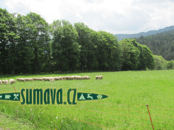 Šukačka