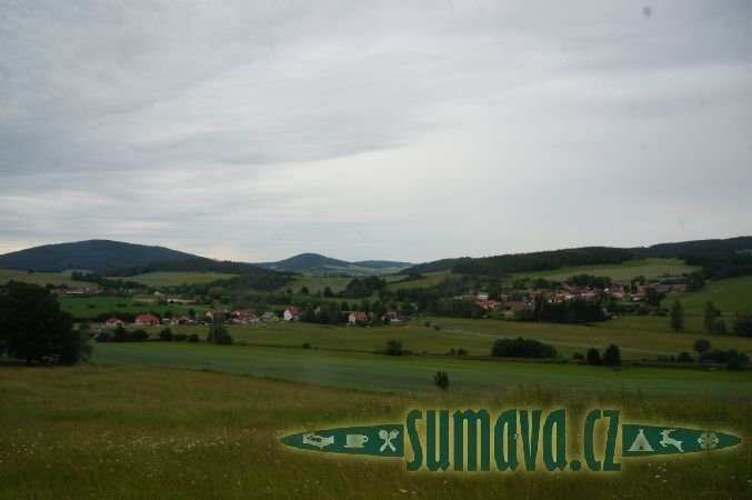 Vícenice