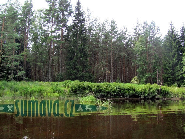 Vltavský luh
