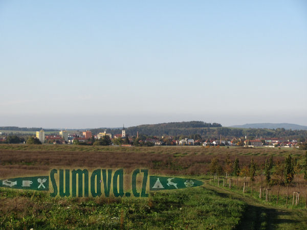 Vodňany