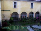 výstava Bonsai Merklín