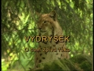 Vydrýsek - O vydřím setkání