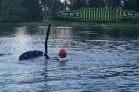 wakeboarding a vodní lyžování, Frymburk