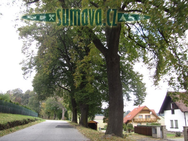 Zdíkovská alej
