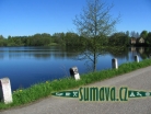 Zámecký rybník Jindřichovice