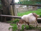 ZOO Lohberg