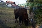 ZOO Lohberg