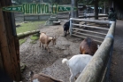 ZOO Lohberg