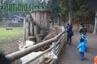 ZOO Lohberg