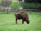 ZOO Plzeň