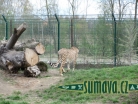 ZOO Plzeň