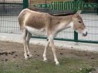 ZOO Plzeň