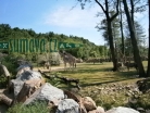 ZOO Plzeň