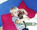 zvířata Šumavy