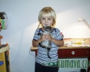 zvířata Šumavy