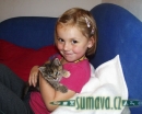 zvířata Šumavy