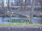 zvířata Šumavy