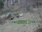 zvířata Šumavy